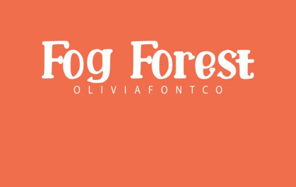 Fog Forest: A Designer's Honest Review