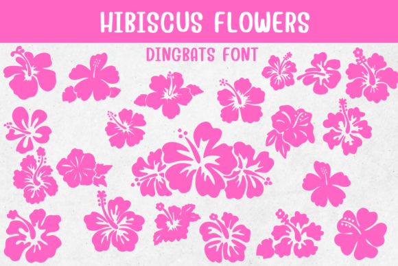 Hibiscus Flowers Brings Floral Elegance to Editorial Design