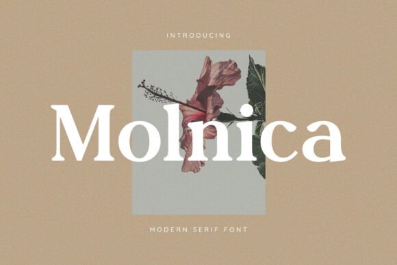 Molnica: A Modern Serif Font That Elevates Small Business Branding
