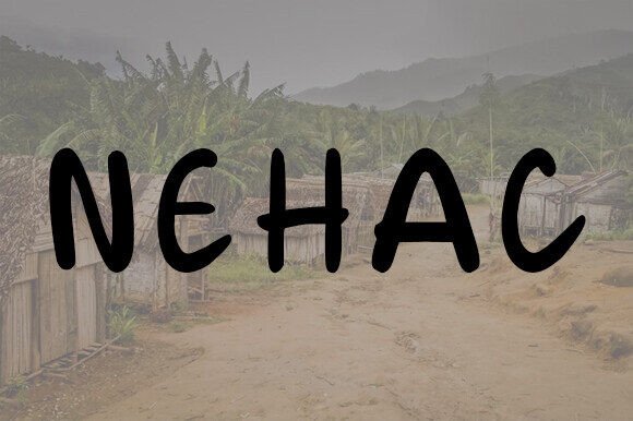 Nehac: A Duo-Style Typeface for Editorial Charm and Readable Headlines