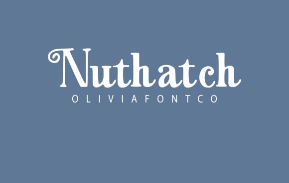 Nuthatch: A Handwritten Serif Font for Editorial Storytelling