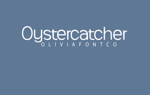 Oystercatcher Typeface: A Web Design Review