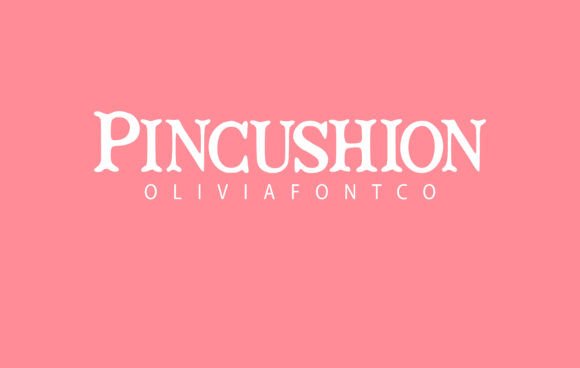 Pincushion: A Serif Font That Sharpens Your Campaign Message
